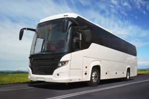 Transport Assistance